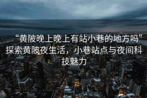 “黃陂晚上晚上有站小巷的地方嗎”探索黃陂夜生活，小巷站點與夜間科技魅力