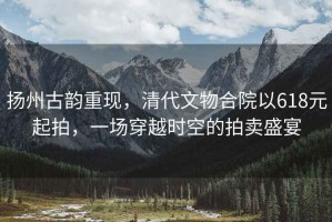 揚州古韻重現，清代文物合院以618元起拍，一場穿越時空的拍賣盛宴