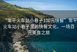“常平火車站小巷子100元快餐”常平火車站小巷子里的快餐文化，一場百元美食之旅