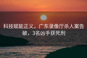 科技賦能正義，廣東錄像廳殺人案告破，3名兇手獲死刑