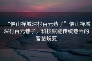 “佛山禪城深村百元巷子”佛山禪城深村百元巷子，科技賦能傳統巷弄的智慧蛻變