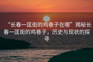 “長春一匡街的雞巷子在哪”揭秘長春一匡街的雞巷子，歷史與現狀的探尋