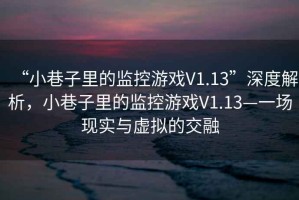 “小巷子里的監控游戲V1.13”深度解析，小巷子里的監控游戲V1.13—一場現實與虛擬的交融