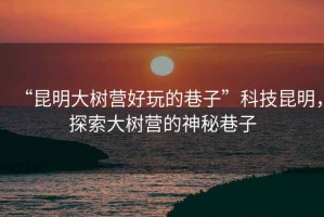 “昆明大樹營好玩的巷子”科技昆明，探索大樹營的神秘巷子