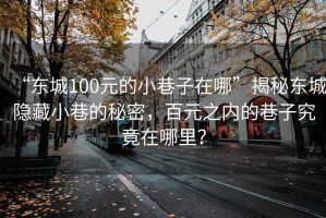 “東城100元的小巷子在哪”揭秘東城隱藏小巷的秘密，百元之內的巷子究竟在哪里？