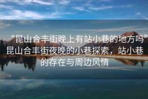 “昆山合豐街晚上有站小巷的地方嗎”昆山合豐街夜晚的小巷探索，站小巷的存在與周邊風情