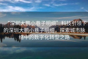 “深圳大鵬小巷子明細(xì)”科技引領(lǐng)下的深圳大鵬小巷子明細(xì)，探索城市脈絡(luò)中的數(shù)字化轉(zhuǎn)型之路