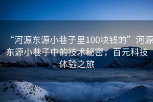 “河源東源小巷子里100塊錢(qián)的”河源東源小巷子中的技術(shù)秘密，百元科技體驗(yàn)之旅