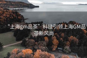 “上海gm品茶”科技引領上海GM品茶新風尚