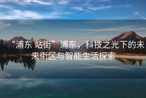 “浦東 站街”浦東，科技之光下的未來街區與智能生活探索