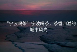 “寧波喝茶”寧波喝茶，茶香四溢的城市風(fēng)光