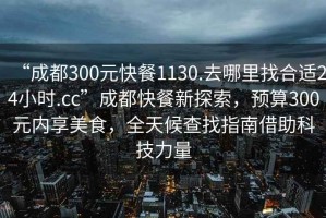 “成都300元快餐1130.去哪里找合適24小時.cc”成都快餐新探索，預算300元內享美食，全天候查找指南借助科技力量