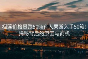 榴蓮價(jià)格暴跌50%有人果斷入手50箱！揭秘背后的原因與商機(jī)