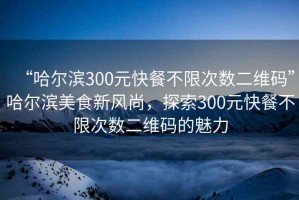 “哈爾濱300元快餐不限次數二維碼”哈爾濱美食新風尚，探索300元快餐不限次數二維碼的魅力