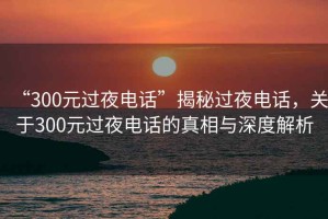 “300元過夜電話”揭秘過夜電話，關于300元過夜電話的真相與深度解析