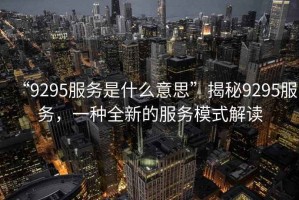 “9295服務是什么意思”揭秘9295服務，一種全新的服務模式解讀
