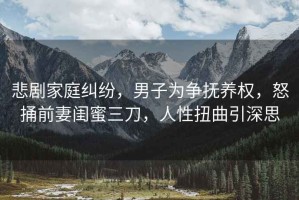 悲劇家庭糾紛，男子為爭撫養權，怒捅前妻閨蜜三刀，人性扭曲引深思