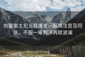 搶嬰案主犯當庭爆發，狂罵法官及同伙，不服一審判決再掀波瀾