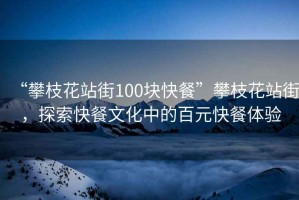 “攀枝花站街100塊快餐”攀枝花站街，探索快餐文化中的百元快餐體驗(yàn)