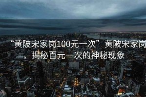 “黃陂宋家崗100元一次”黃陂宋家崗，揭秘百元一次的神秘現(xiàn)象