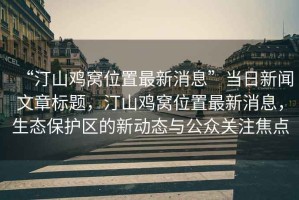 “汀山雞窩位置最新消息”當(dāng)日新聞文章標題，汀山雞窩位置最新消息，生態(tài)保護區(qū)的新動態(tài)與公眾關(guān)注焦點