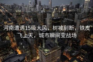 河南遭遇15級(jí)大風(fēng)，樹被刮斷，鐵皮飛上天，城市瞬間變戰(zhàn)場