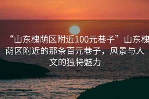 “山東槐蔭區(qū)附近100元巷子”山東槐蔭區(qū)附近的那條百元巷子，風(fēng)景與人文的獨(dú)特魅力