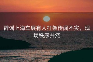 辟謠上海車展有人打架傳聞不實，現(xiàn)場秩序井然
