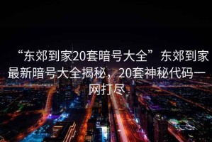 “東郊到家20套暗號大全”東郊到家最新暗號大全揭秘，20套神秘代碼一網(wǎng)打盡