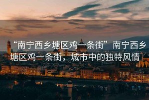 “南寧西鄉塘區雞一條街”南寧西鄉塘區雞一條街，城市中的獨特風情