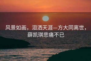 風(fēng)景如畫，淚灑天涯—方大同離世，薛凱琪悲痛不已