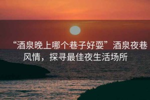 “酒泉晚上哪個巷子好耍”酒泉夜巷風情，探尋最佳夜生活場所