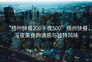 “梧州快餐200半夜500”梧州快餐，深夜美食的誘惑與獨特風味