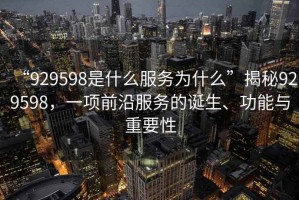 “929598是什么服務為什么”揭秘929598，一項前沿服務的誕生、功能與重要性
