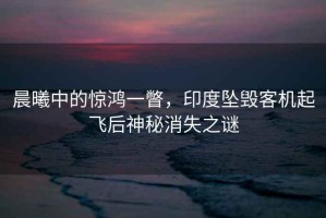 晨曦中的驚鴻一瞥，印度墜毀客機起飛后神秘消失之謎