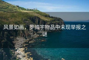 風景如畫，羅帥宇物品中未現舉報之謎