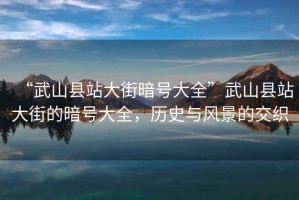 “武山縣站大街暗號大全”武山縣站大街的暗號大全，歷史與風景的交織