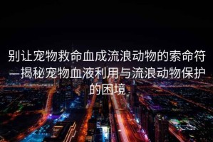 別讓寵物救命血成流浪動物的索命符—揭秘寵物血液利用與流浪動物保護的困境