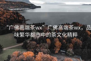 “廣佛高端茶wx”廣佛高端茶wx，品味繁華都市中的茶文化精粹