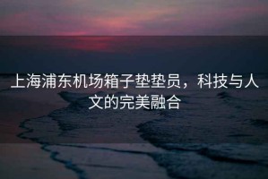 上海浦東機場箱子墊墊員，科技與人文的完美融合