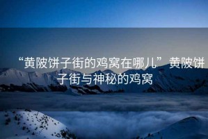 “黃陂餅子街的雞窩在哪兒”黃陂餅子街與神秘的雞窩