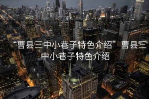 “曹縣三中小巷子特色介紹”曹縣三中小巷子特色介紹