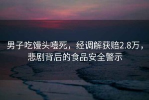 男子吃饅頭噎死，經(jīng)調(diào)解獲賠2.8萬，悲劇背后的食品安全警示