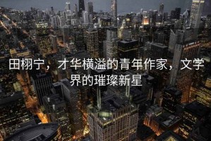 田栩寧，才華橫溢的青年作家，文學界的璀璨新星