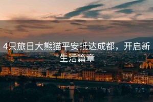 4只旅日大熊貓平安抵達成都，開啟新生活篇章