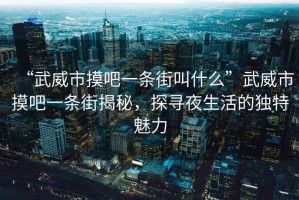 “武威市摸吧一條街叫什么”武威市摸吧一條街揭秘，探尋夜生活的獨特魅力