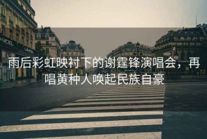 雨后彩虹映襯下的謝霆鋒演唱會，再唱黃種人喚起民族自豪