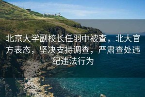 北京大學副校長任羽中被查，北大官方表態，堅決支持調查，嚴肅查處違紀違法行為