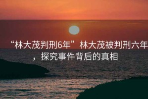 “林大茂判刑6年”林大茂被判刑六年，探究事件背后的真相