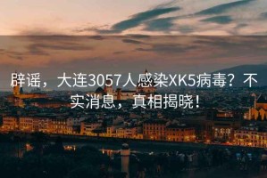 辟謠，大連3057人感染XK5病毒？不實(shí)消息，真相揭曉！